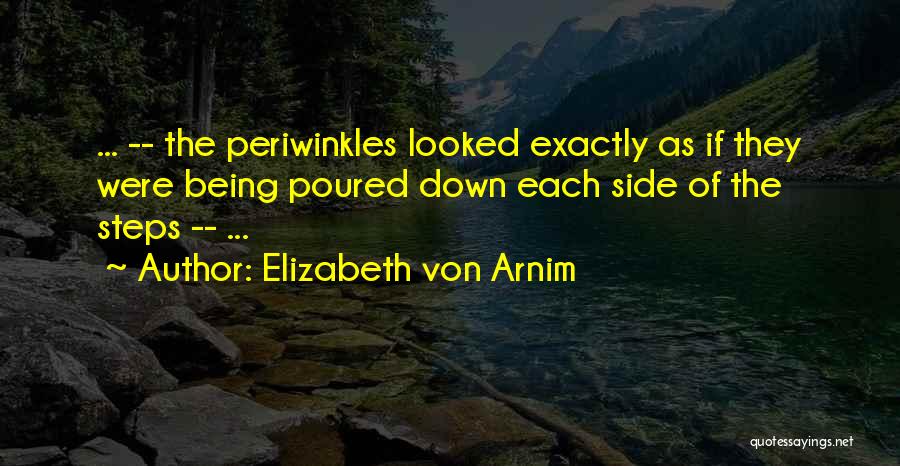 Elizabeth Von Arnim Quotes: ... -- The Periwinkles Looked Exactly As If They Were Being Poured Down Each Side Of The Steps -- ...