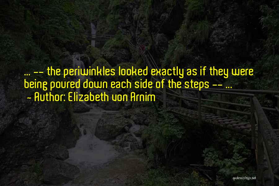 Elizabeth Von Arnim Quotes: ... -- The Periwinkles Looked Exactly As If They Were Being Poured Down Each Side Of The Steps -- ...