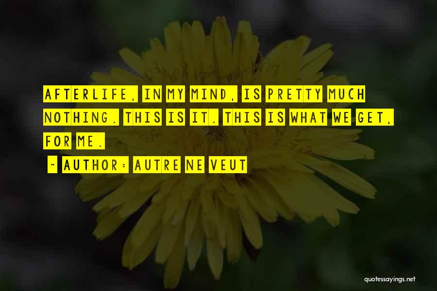 Autre Ne Veut Quotes: Afterlife, In My Mind, Is Pretty Much Nothing. This Is It. This Is What We Get, For Me.