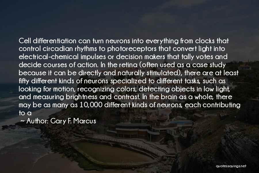 Gary F. Marcus Quotes: Cell Differentiation Can Turn Neurons Into Everything From Clocks That Control Circadian Rhythms To Photoreceptors That Convert Light Into Electrical-chemical