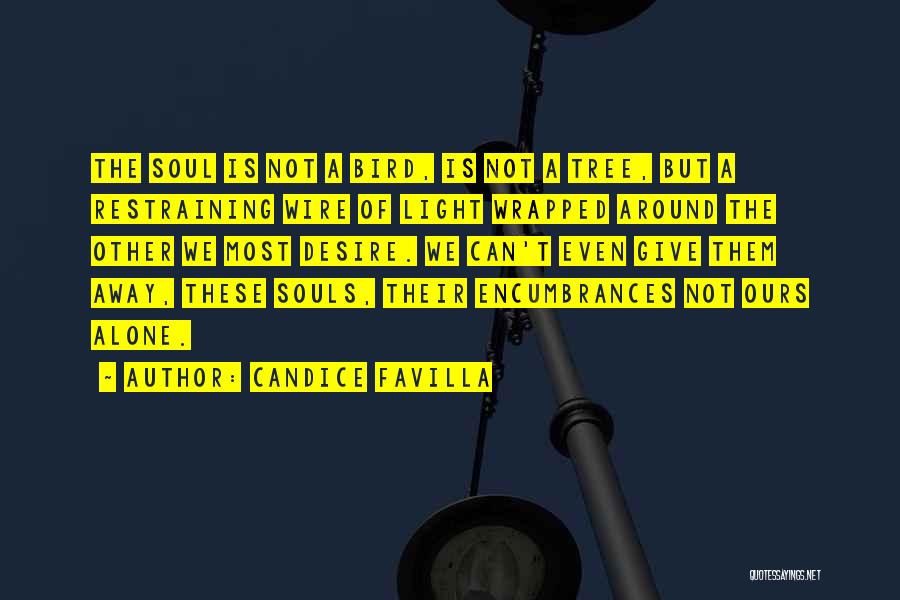 Candice Favilla Quotes: The Soul Is Not A Bird, Is Not A Tree, But A Restraining Wire Of Light Wrapped Around The Other