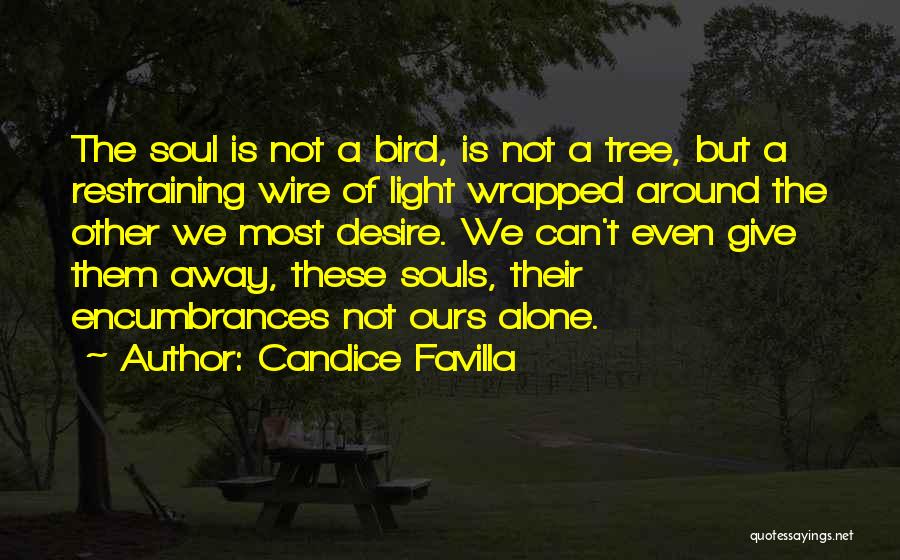 Candice Favilla Quotes: The Soul Is Not A Bird, Is Not A Tree, But A Restraining Wire Of Light Wrapped Around The Other