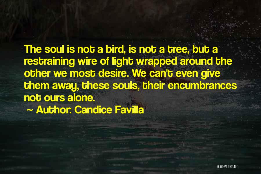 Candice Favilla Quotes: The Soul Is Not A Bird, Is Not A Tree, But A Restraining Wire Of Light Wrapped Around The Other