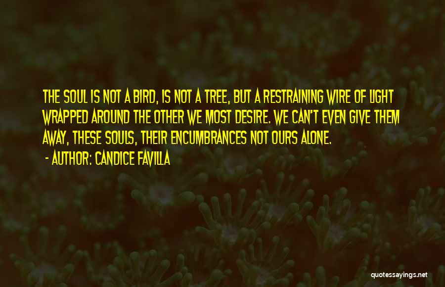 Candice Favilla Quotes: The Soul Is Not A Bird, Is Not A Tree, But A Restraining Wire Of Light Wrapped Around The Other