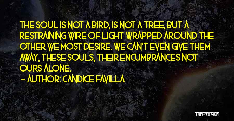 Candice Favilla Quotes: The Soul Is Not A Bird, Is Not A Tree, But A Restraining Wire Of Light Wrapped Around The Other