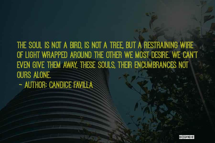 Candice Favilla Quotes: The Soul Is Not A Bird, Is Not A Tree, But A Restraining Wire Of Light Wrapped Around The Other