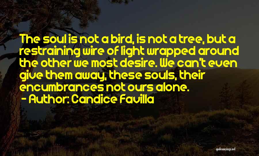 Candice Favilla Quotes: The Soul Is Not A Bird, Is Not A Tree, But A Restraining Wire Of Light Wrapped Around The Other