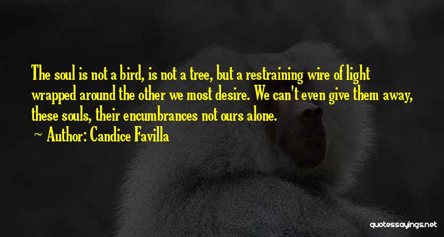 Candice Favilla Quotes: The Soul Is Not A Bird, Is Not A Tree, But A Restraining Wire Of Light Wrapped Around The Other