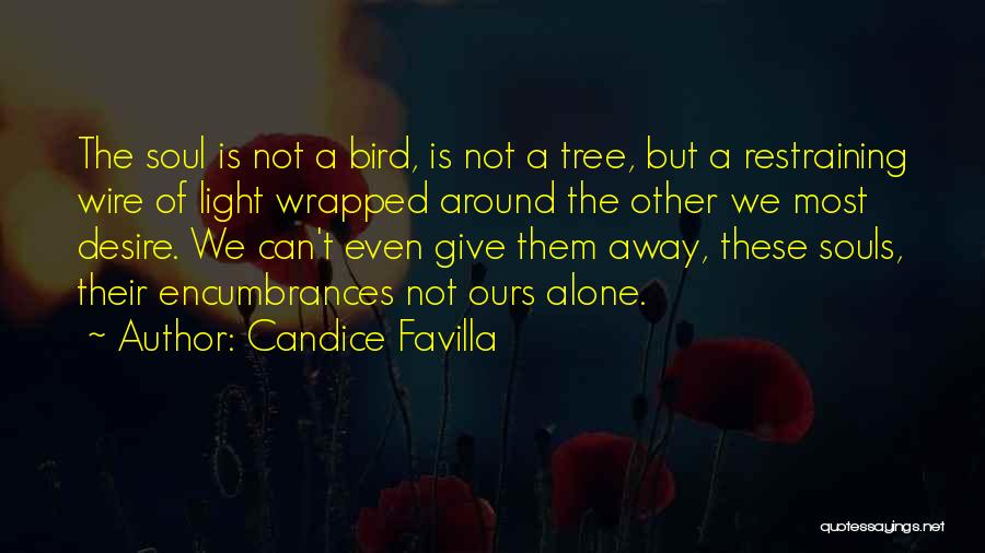 Candice Favilla Quotes: The Soul Is Not A Bird, Is Not A Tree, But A Restraining Wire Of Light Wrapped Around The Other