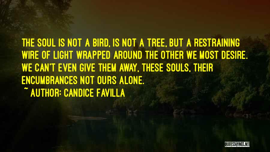 Candice Favilla Quotes: The Soul Is Not A Bird, Is Not A Tree, But A Restraining Wire Of Light Wrapped Around The Other