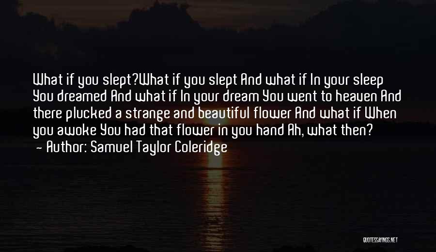 Samuel Taylor Coleridge Quotes: What If You Slept?what If You Slept And What If In Your Sleep You Dreamed And What If In Your