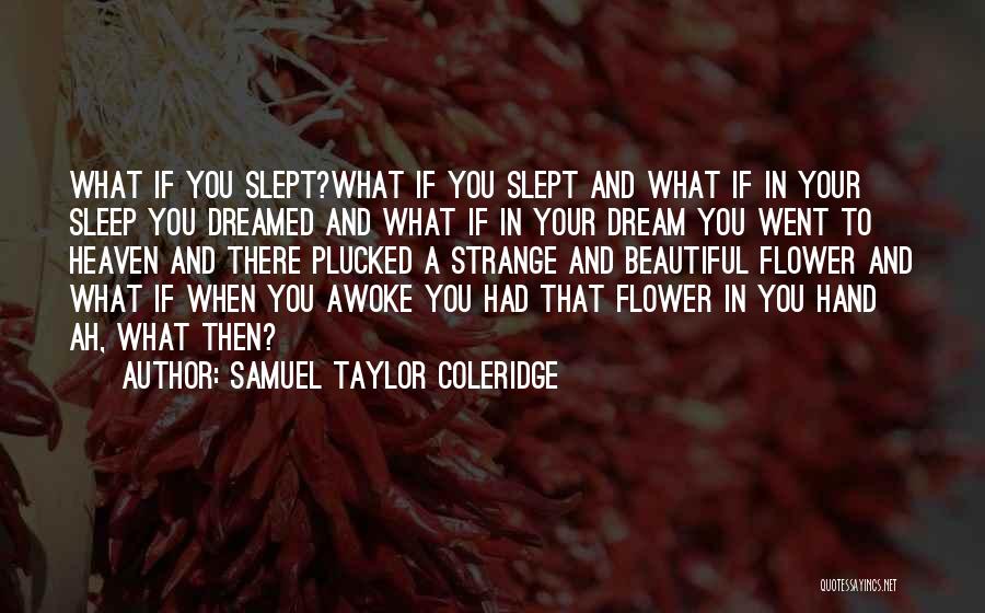 Samuel Taylor Coleridge Quotes: What If You Slept?what If You Slept And What If In Your Sleep You Dreamed And What If In Your