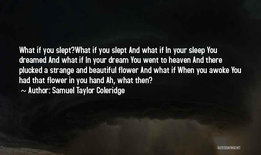 Samuel Taylor Coleridge Quotes: What If You Slept?what If You Slept And What If In Your Sleep You Dreamed And What If In Your