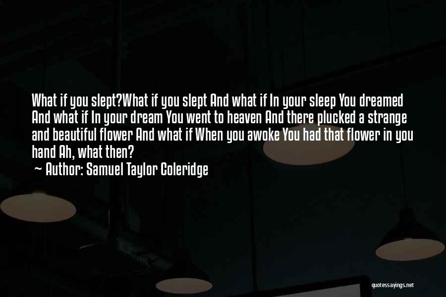 Samuel Taylor Coleridge Quotes: What If You Slept?what If You Slept And What If In Your Sleep You Dreamed And What If In Your