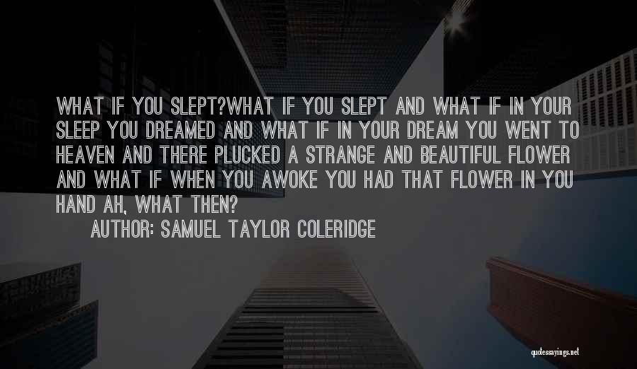 Samuel Taylor Coleridge Quotes: What If You Slept?what If You Slept And What If In Your Sleep You Dreamed And What If In Your