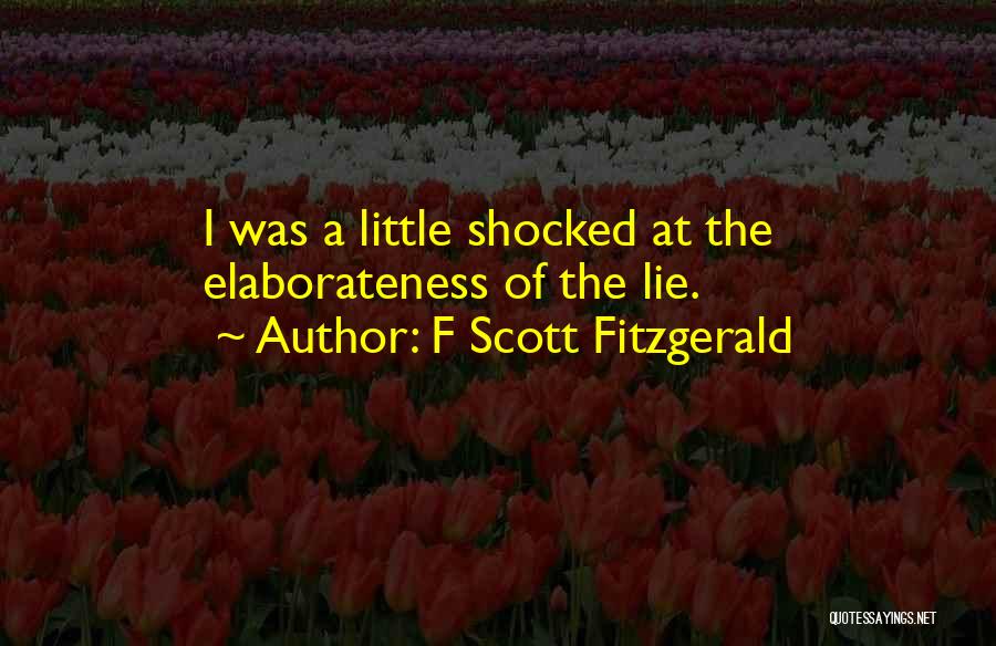 F Scott Fitzgerald Quotes: I Was A Little Shocked At The Elaborateness Of The Lie.