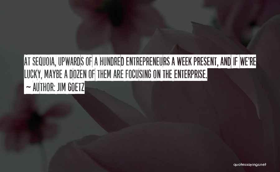 Jim Goetz Quotes: At Sequoia, Upwards Of A Hundred Entrepreneurs A Week Present, And If We're Lucky, Maybe A Dozen Of Them Are