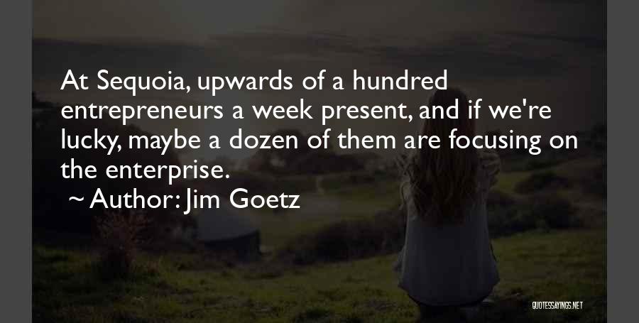 Jim Goetz Quotes: At Sequoia, Upwards Of A Hundred Entrepreneurs A Week Present, And If We're Lucky, Maybe A Dozen Of Them Are