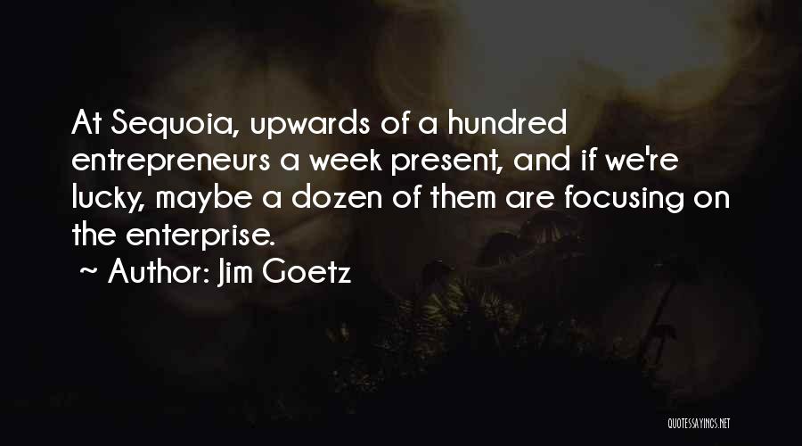 Jim Goetz Quotes: At Sequoia, Upwards Of A Hundred Entrepreneurs A Week Present, And If We're Lucky, Maybe A Dozen Of Them Are