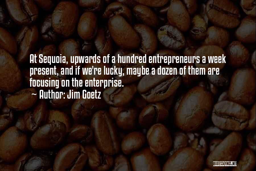 Jim Goetz Quotes: At Sequoia, Upwards Of A Hundred Entrepreneurs A Week Present, And If We're Lucky, Maybe A Dozen Of Them Are