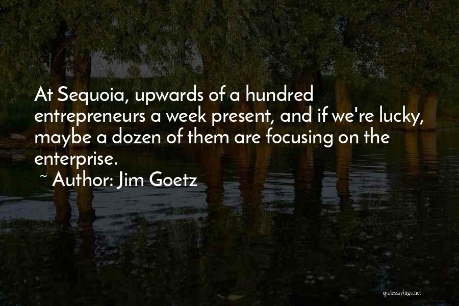 Jim Goetz Quotes: At Sequoia, Upwards Of A Hundred Entrepreneurs A Week Present, And If We're Lucky, Maybe A Dozen Of Them Are