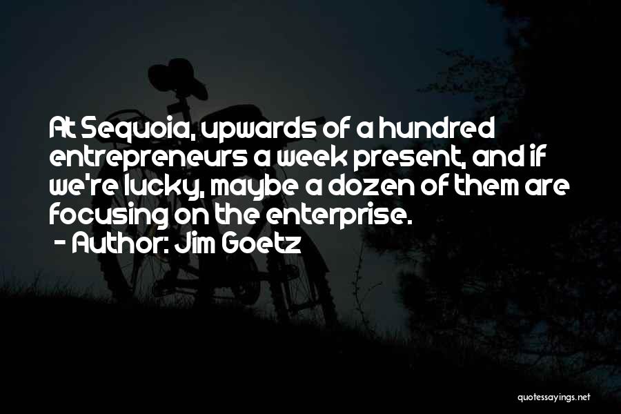 Jim Goetz Quotes: At Sequoia, Upwards Of A Hundred Entrepreneurs A Week Present, And If We're Lucky, Maybe A Dozen Of Them Are