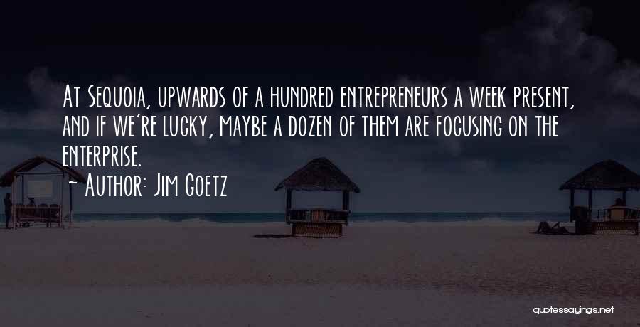 Jim Goetz Quotes: At Sequoia, Upwards Of A Hundred Entrepreneurs A Week Present, And If We're Lucky, Maybe A Dozen Of Them Are