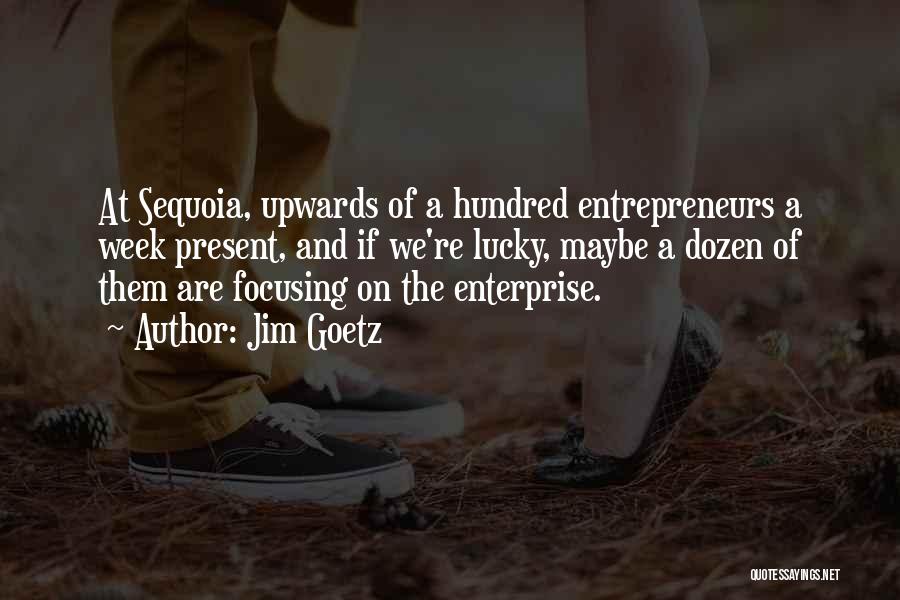 Jim Goetz Quotes: At Sequoia, Upwards Of A Hundred Entrepreneurs A Week Present, And If We're Lucky, Maybe A Dozen Of Them Are