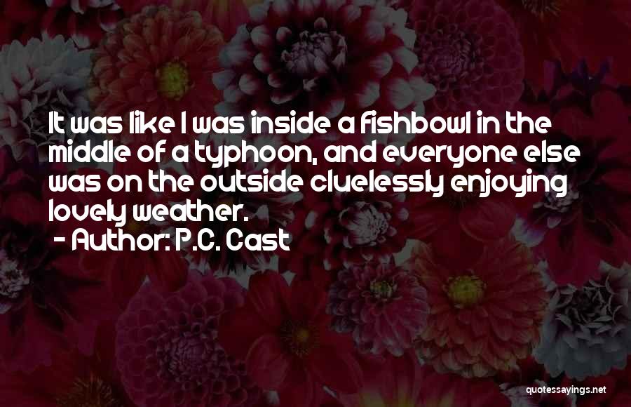 P.C. Cast Quotes: It Was Like I Was Inside A Fishbowl In The Middle Of A Typhoon, And Everyone Else Was On The