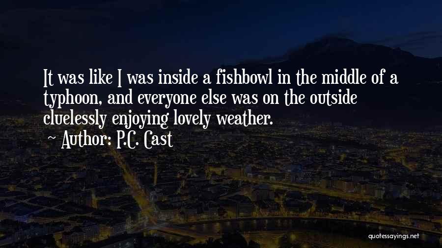 P.C. Cast Quotes: It Was Like I Was Inside A Fishbowl In The Middle Of A Typhoon, And Everyone Else Was On The