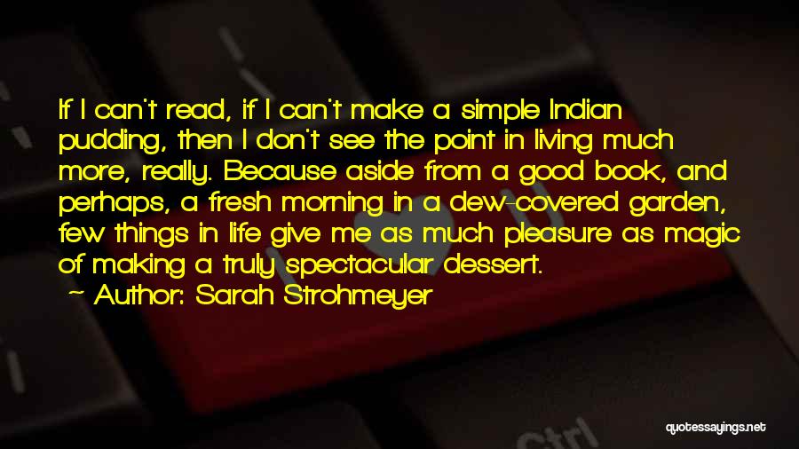 Sarah Strohmeyer Quotes: If I Can't Read, If I Can't Make A Simple Indian Pudding, Then I Don't See The Point In Living