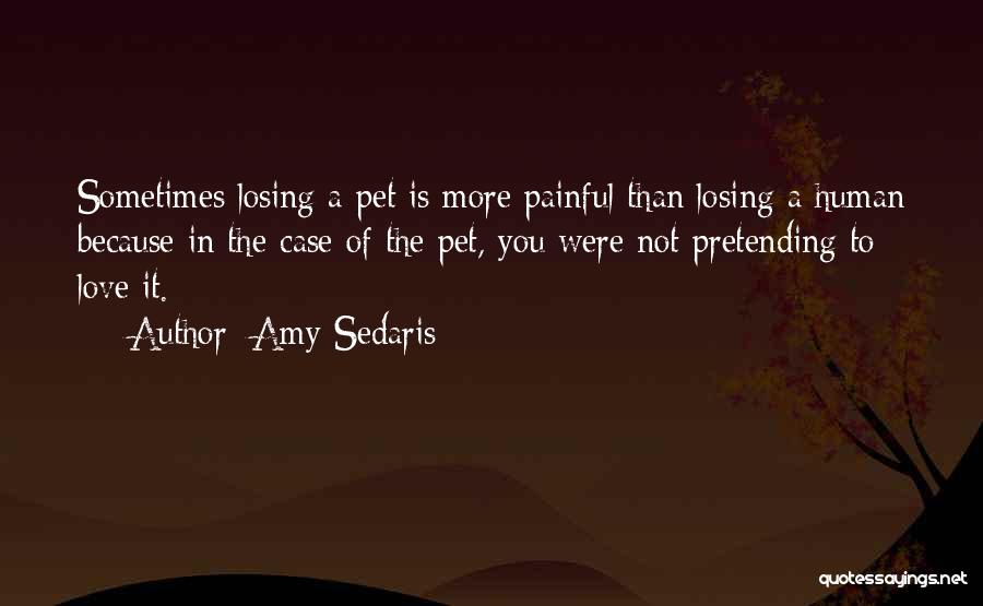 Amy Sedaris Quotes: Sometimes Losing A Pet Is More Painful Than Losing A Human Because In The Case Of The Pet, You Were