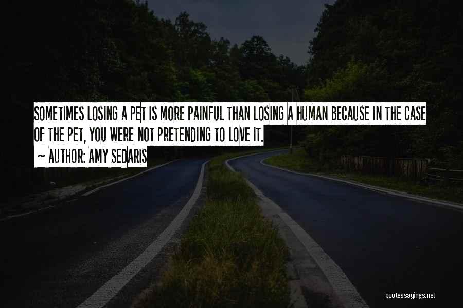 Amy Sedaris Quotes: Sometimes Losing A Pet Is More Painful Than Losing A Human Because In The Case Of The Pet, You Were