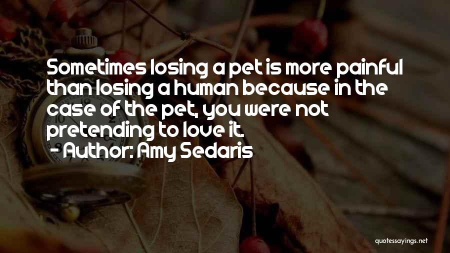 Amy Sedaris Quotes: Sometimes Losing A Pet Is More Painful Than Losing A Human Because In The Case Of The Pet, You Were