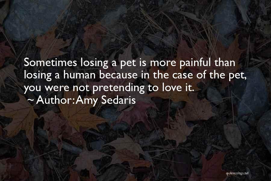 Amy Sedaris Quotes: Sometimes Losing A Pet Is More Painful Than Losing A Human Because In The Case Of The Pet, You Were