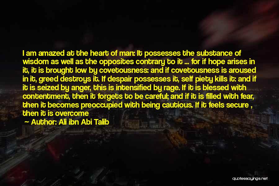 Ali Ibn Abi Talib Quotes: I Am Amazed At The Heart Of Man: It Possesses The Substance Of Wisdom As Well As The Opposites Contrary