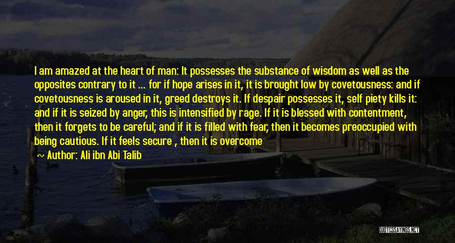 Ali Ibn Abi Talib Quotes: I Am Amazed At The Heart Of Man: It Possesses The Substance Of Wisdom As Well As The Opposites Contrary