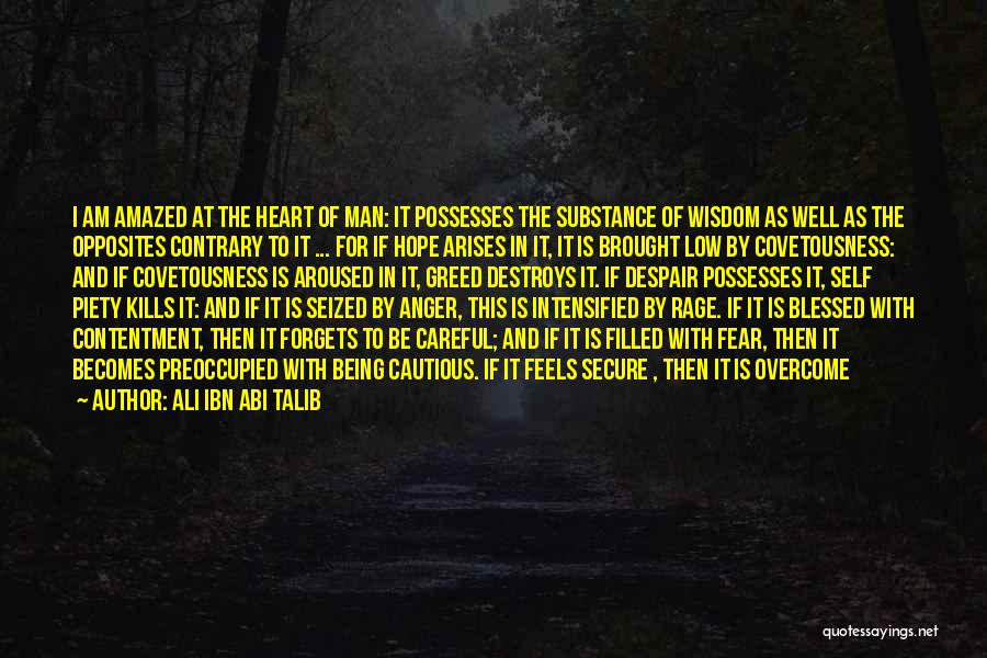 Ali Ibn Abi Talib Quotes: I Am Amazed At The Heart Of Man: It Possesses The Substance Of Wisdom As Well As The Opposites Contrary