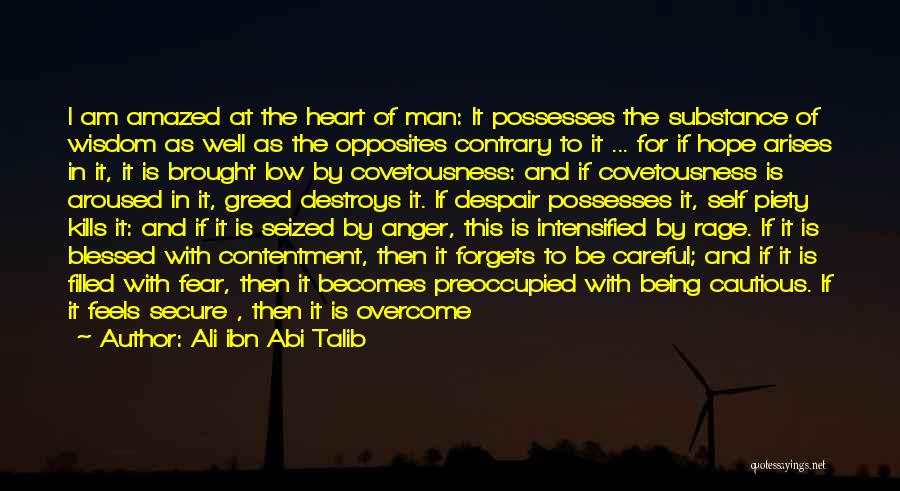 Ali Ibn Abi Talib Quotes: I Am Amazed At The Heart Of Man: It Possesses The Substance Of Wisdom As Well As The Opposites Contrary