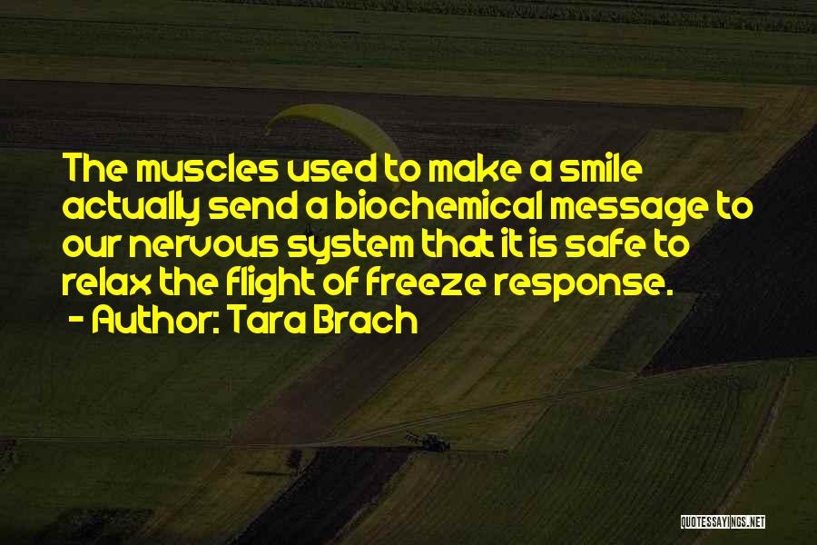 Tara Brach Quotes: The Muscles Used To Make A Smile Actually Send A Biochemical Message To Our Nervous System That It Is Safe