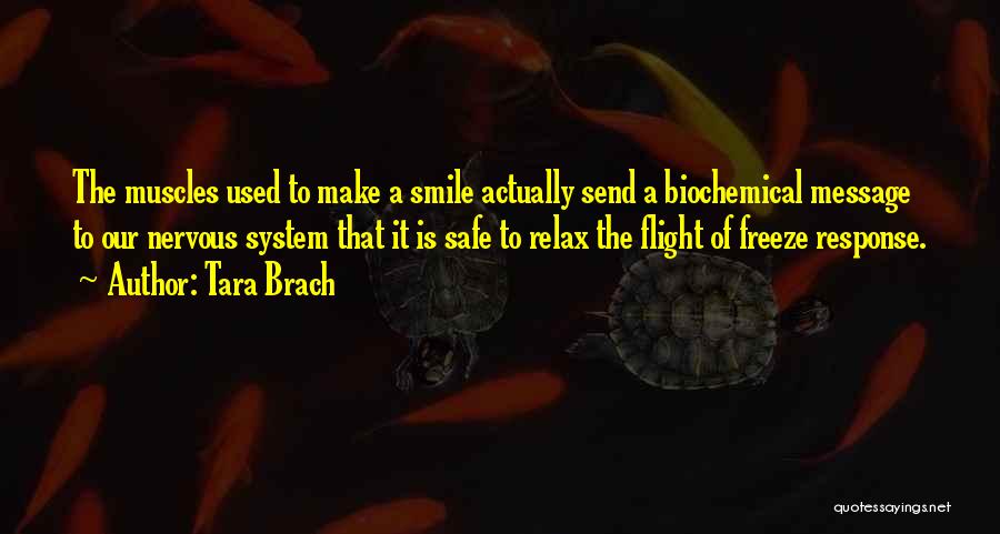 Tara Brach Quotes: The Muscles Used To Make A Smile Actually Send A Biochemical Message To Our Nervous System That It Is Safe