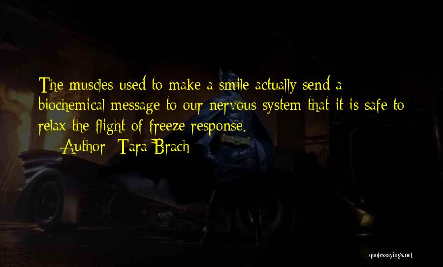 Tara Brach Quotes: The Muscles Used To Make A Smile Actually Send A Biochemical Message To Our Nervous System That It Is Safe