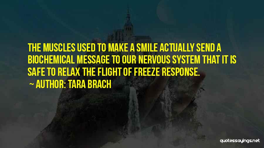 Tara Brach Quotes: The Muscles Used To Make A Smile Actually Send A Biochemical Message To Our Nervous System That It Is Safe