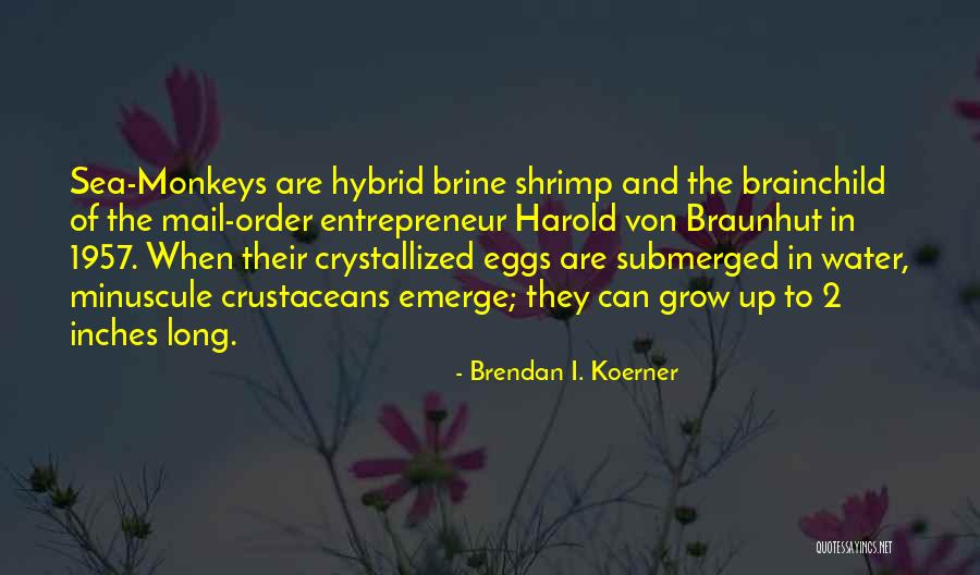 1957 Quotes By Brendan I. Koerner