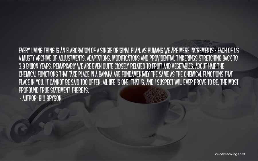 Bill Bryson Quotes: Every Living Thing Is An Elaboration Of A Single Original Plan. As Humans We Are Mere Increments - Each Of