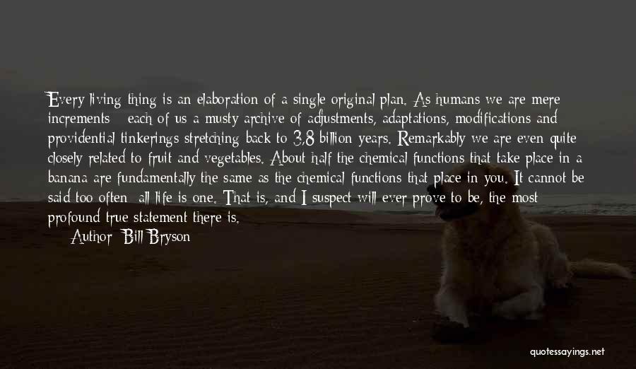 Bill Bryson Quotes: Every Living Thing Is An Elaboration Of A Single Original Plan. As Humans We Are Mere Increments - Each Of