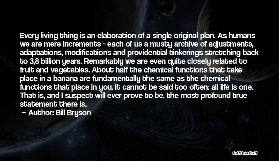 Bill Bryson Quotes: Every Living Thing Is An Elaboration Of A Single Original Plan. As Humans We Are Mere Increments - Each Of
