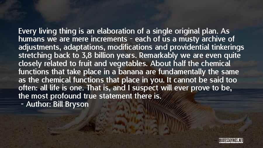 Bill Bryson Quotes: Every Living Thing Is An Elaboration Of A Single Original Plan. As Humans We Are Mere Increments - Each Of