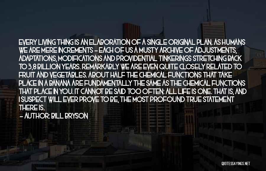 Bill Bryson Quotes: Every Living Thing Is An Elaboration Of A Single Original Plan. As Humans We Are Mere Increments - Each Of