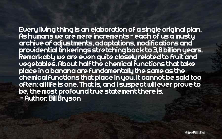 Bill Bryson Quotes: Every Living Thing Is An Elaboration Of A Single Original Plan. As Humans We Are Mere Increments - Each Of